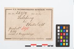 Etikett zu Bronzegehänge (NHMW-PRAE-026359)